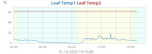 Leaf Temp1