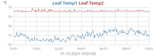 Leaf Temp1